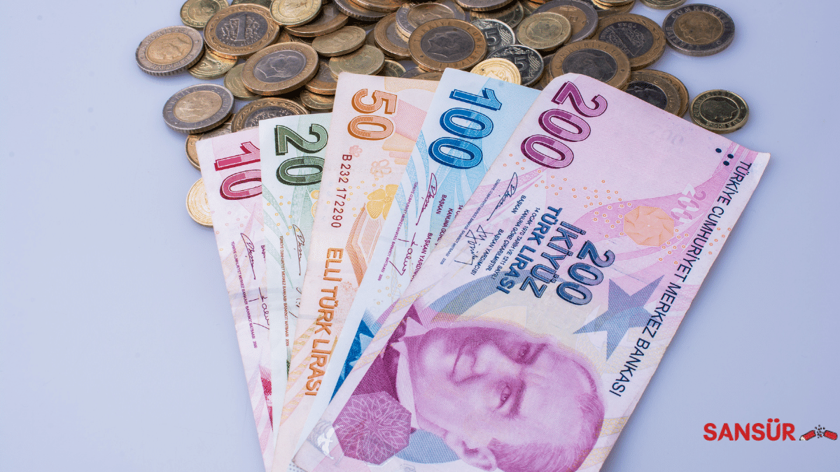 Türkiye Ekonomisi: Tersten Yazılmış Kitap